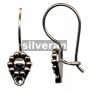Ear Wire
