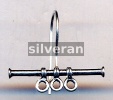 Silver Ear Wire