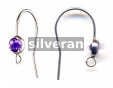 Silver Earwire