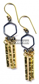 Wire Works Earring